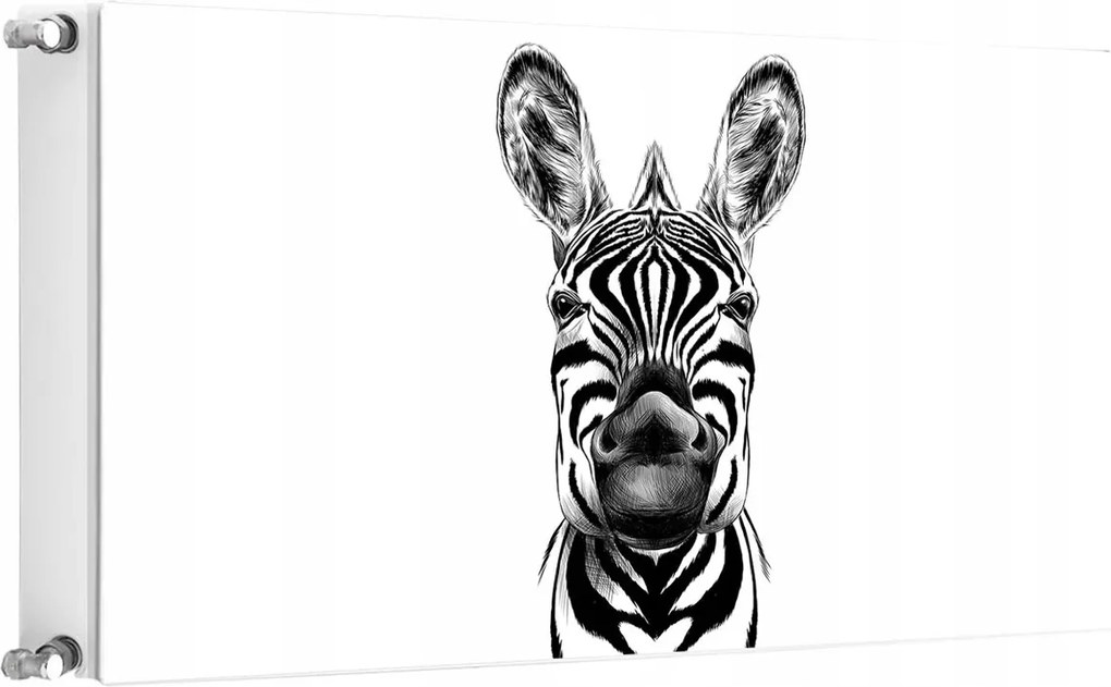 Mágneses Radiátorszőnyeg 100x60 Zebra Fotótapéta