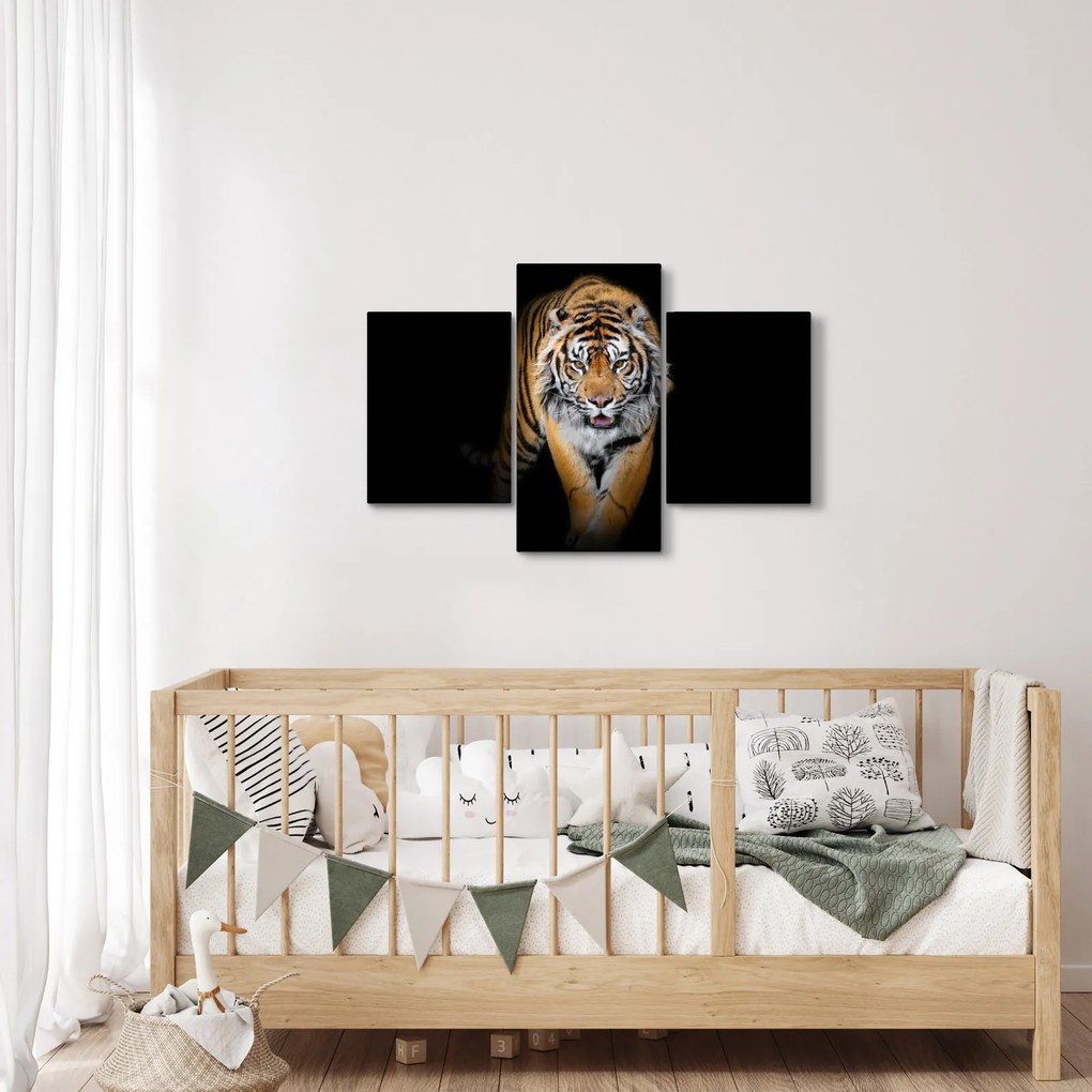 Kép - Tigris (90x60 cm)