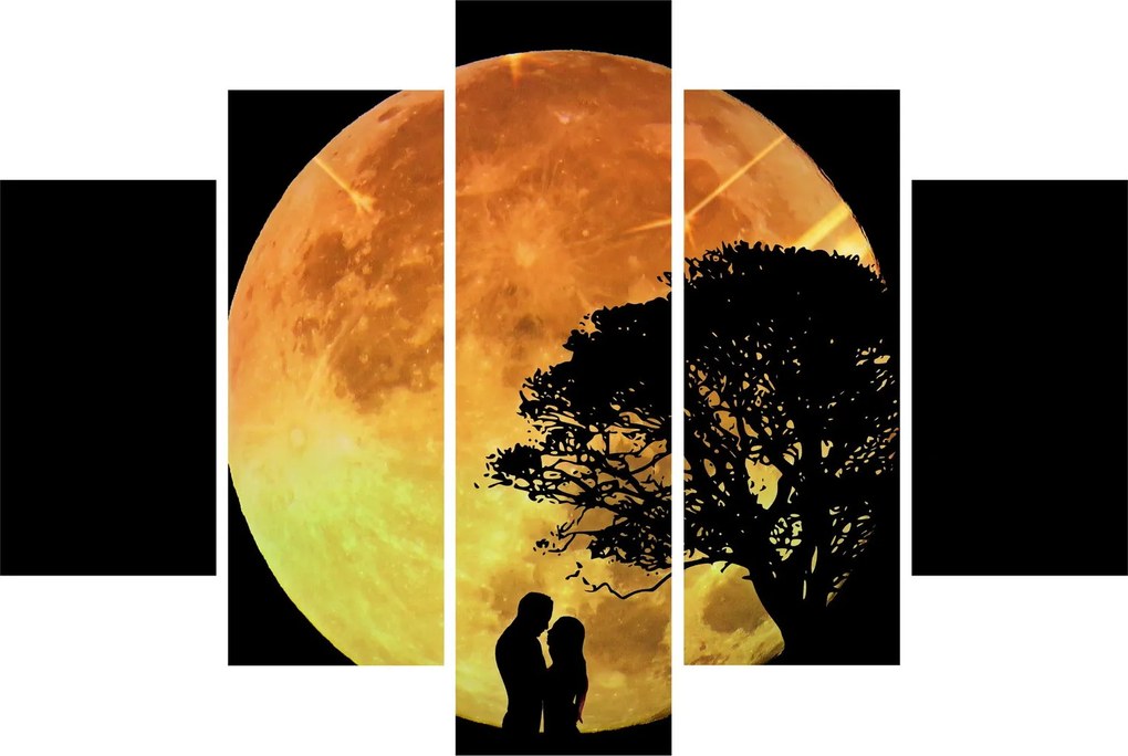 Árnyékok a holdfényben képe (150x105 cm)