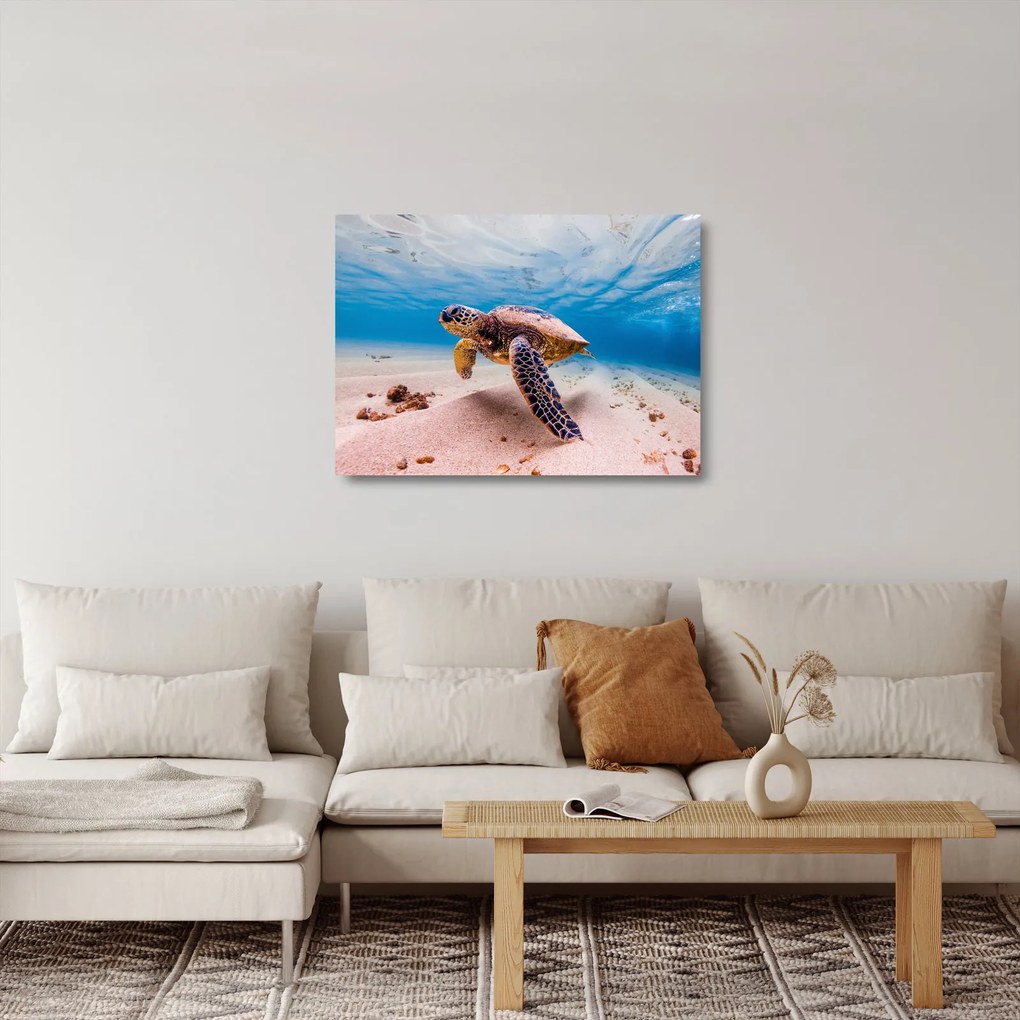 Teknős képe az óceánban (üvegen) (70x50 cm)