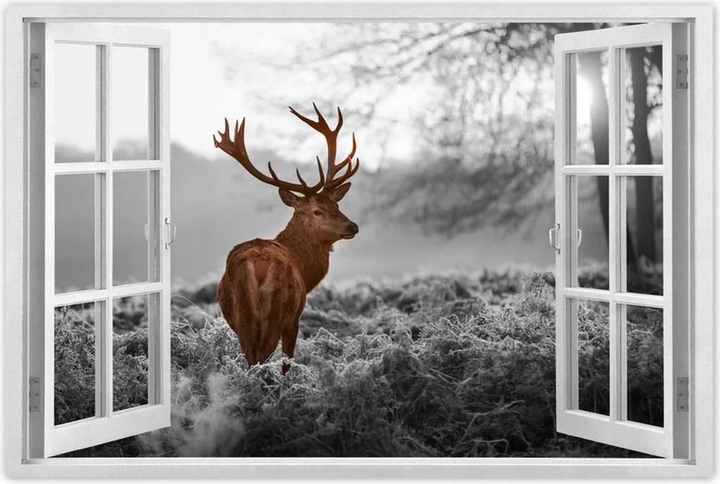 Poszter 60x40 Méltóságteljes szarvas szarvakkal