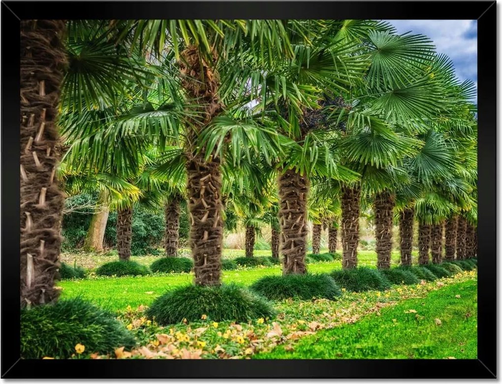 Poszterek keretben 40x30 Tájkép