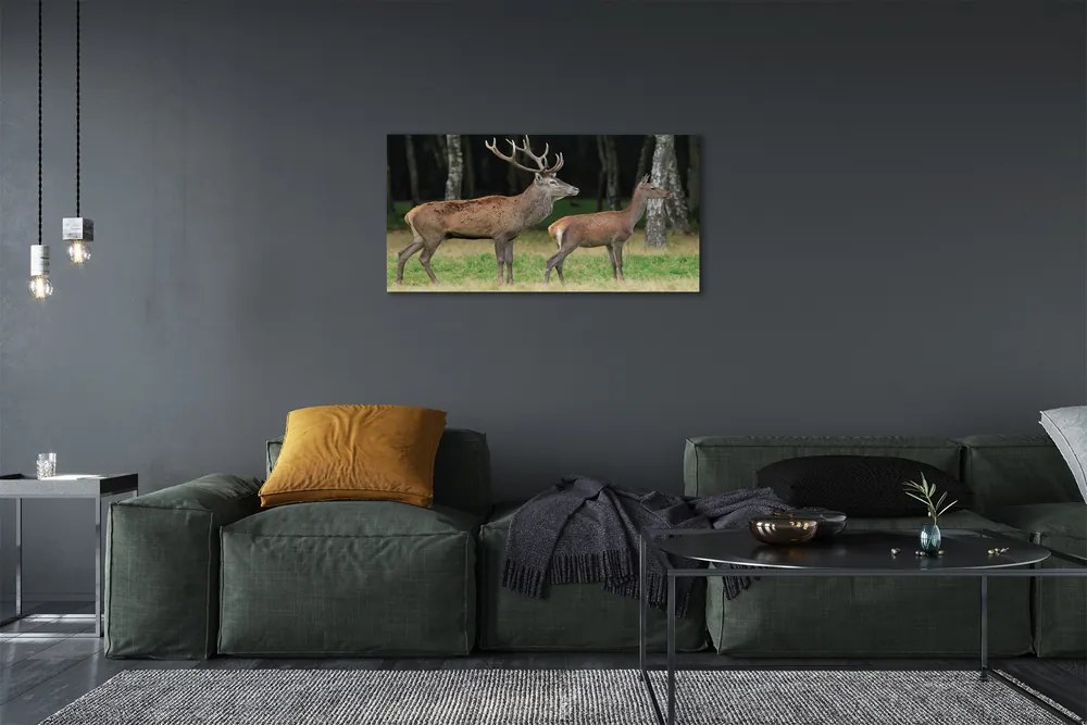 Canvas képek szarvas erdei 140x70 cm