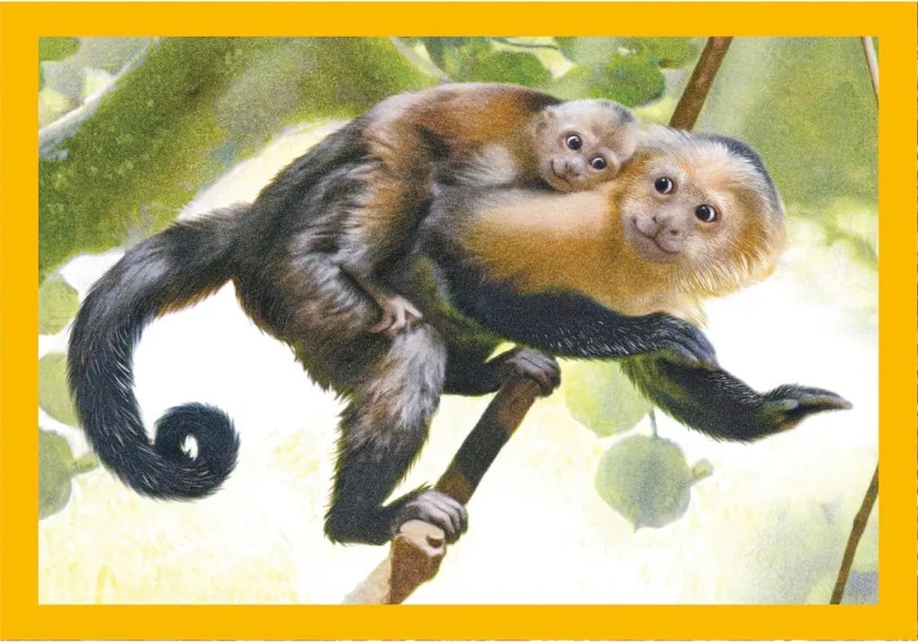 Állatos Baby Cuddles 4 az 1-ben puzzle Clementoni