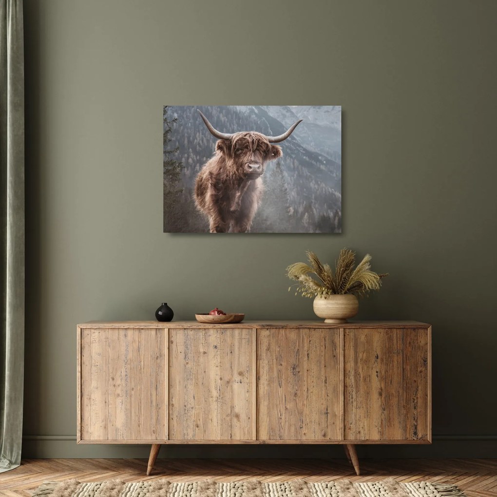 Üveg kép - Highlander tehén (70x50 cm)