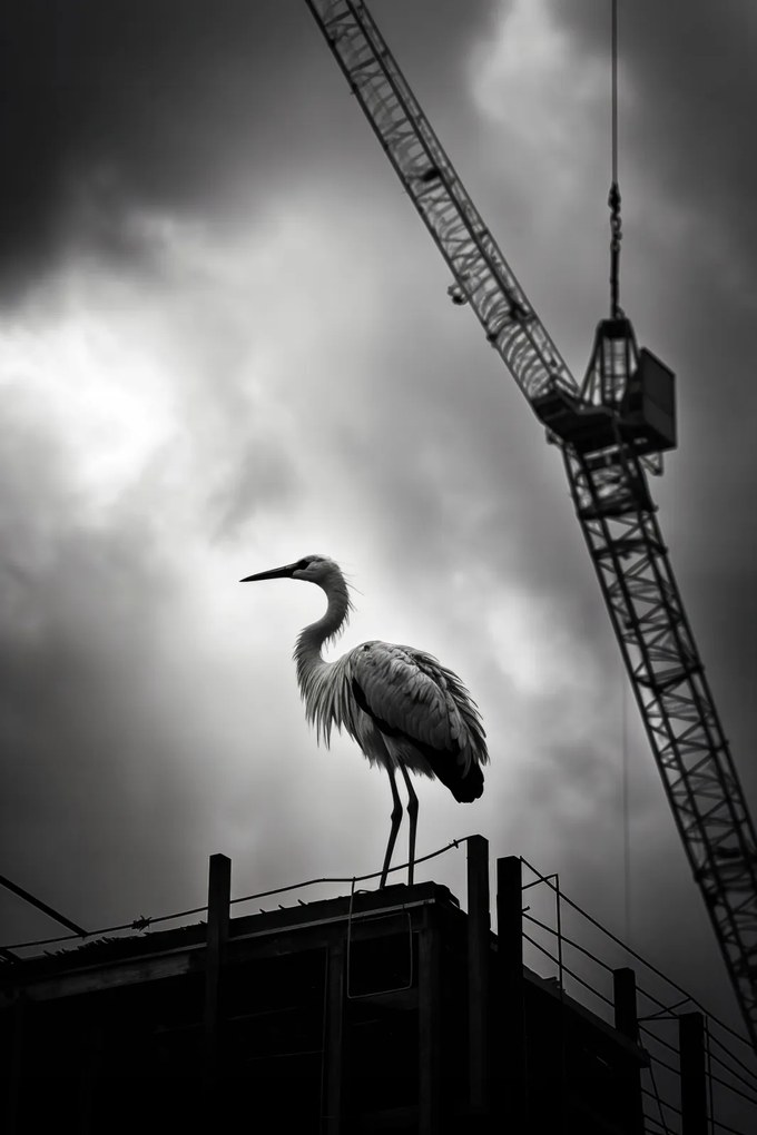 Poszter 40x60cm Magasan a horizont felett