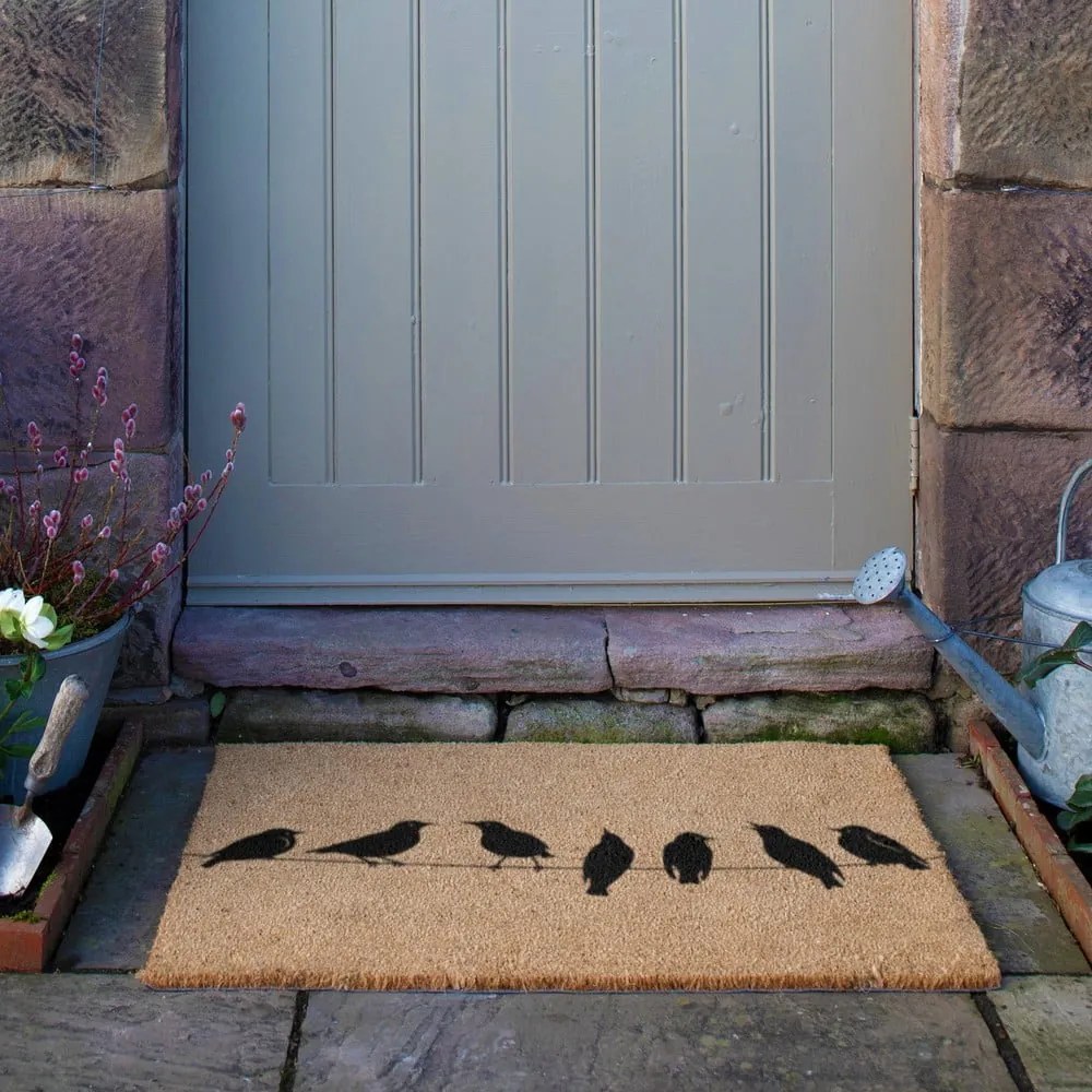 Kókuszrost lábtörlő 40x60 cm Birds On a Wire – Artsy Doormats