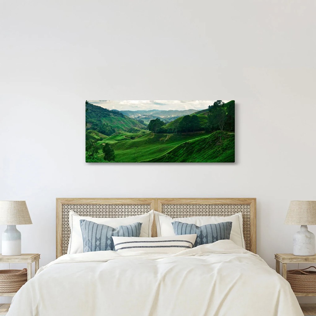 Kép - Teaültetvények Malajziában (120x50 cm)