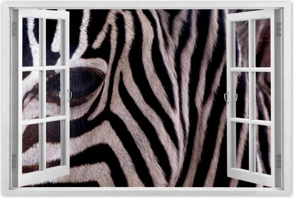 Poszterek 120x80 Makro fotó zebra
