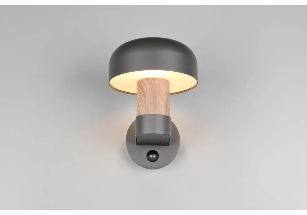 Fali kültéri lámpa (magasság 24,5 cm) Fraser – Trio