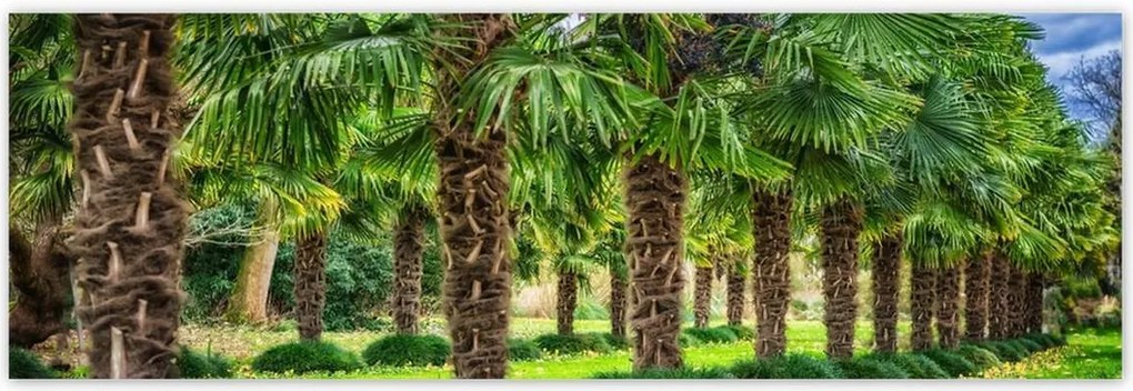 Poszterek 200x66 Tájkép