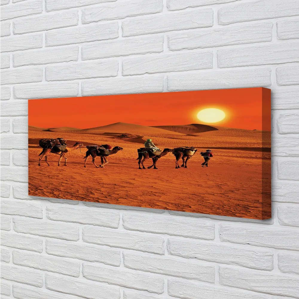 Canvas képek Tevék az emberek sivatagi nap ég 125x50 cm