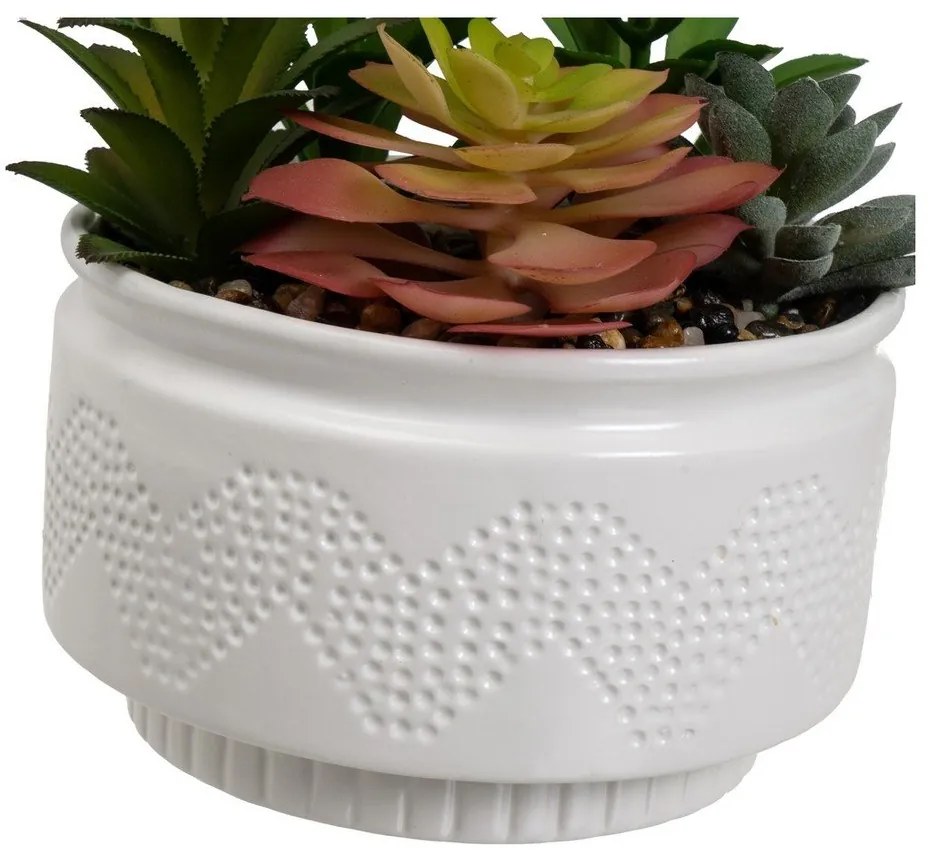 Műnövény szett 2 db-os (magasság 19 cm) Cactus – Casa Selección