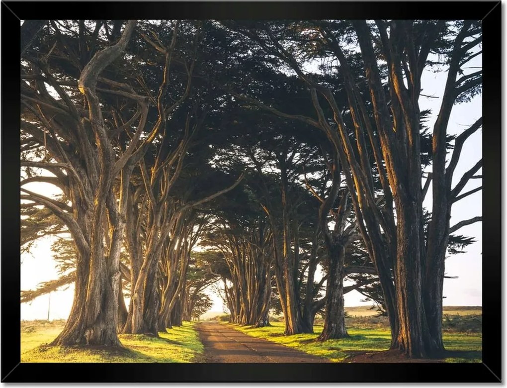 Poszterek keretben 40x30 Tájkép Látvány