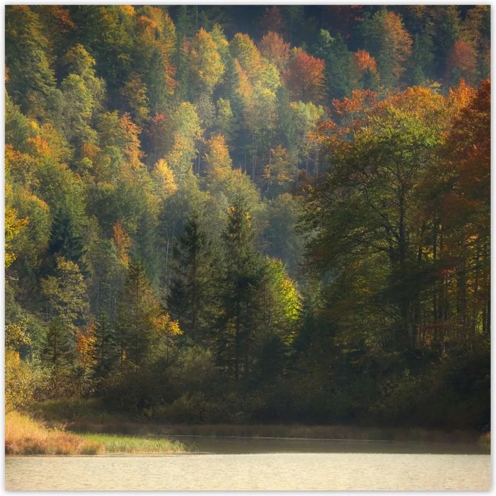 Poszterek 140x140 Erdei táj Kilátás