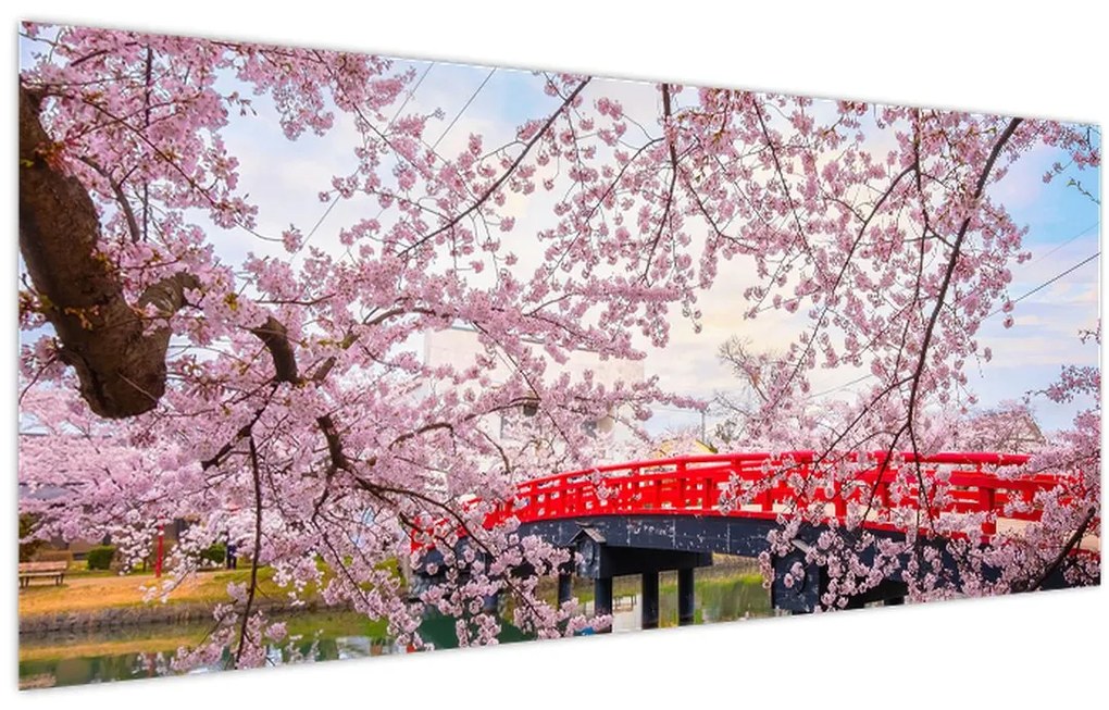 Kép - Hirosaki, Japán (120x50 cm)