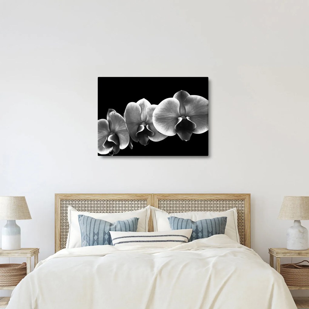 Egy orchidea virág képe (70x50 cm)