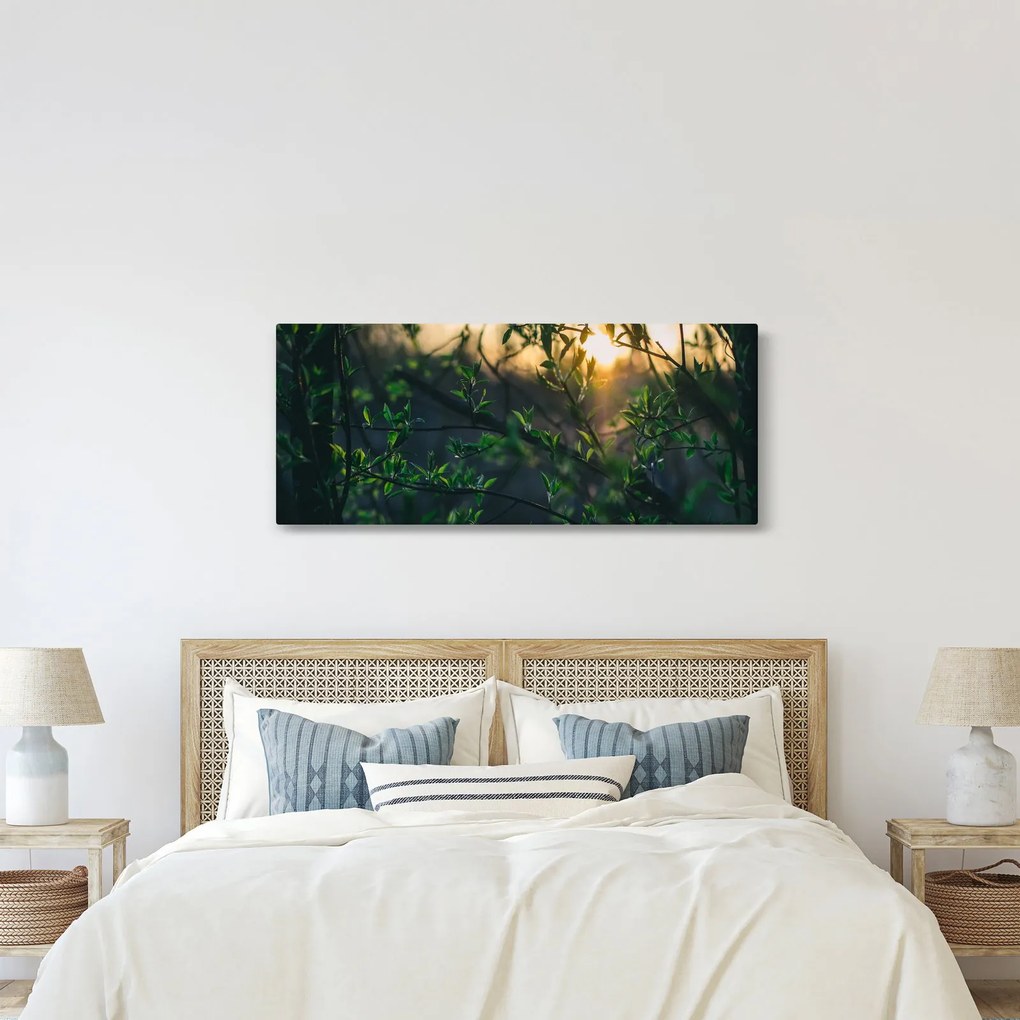 A ragyogó nap képe a fák gallyain keresztül (120x50 cm)