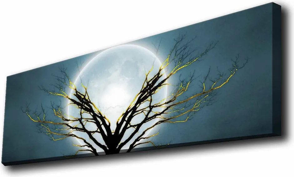 Vászonkép, 30×90 cm – 3090KTLGDACT