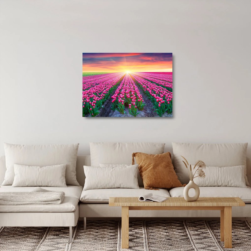 Tulipán mező és a nap képe (üvegen) (70x50 cm)