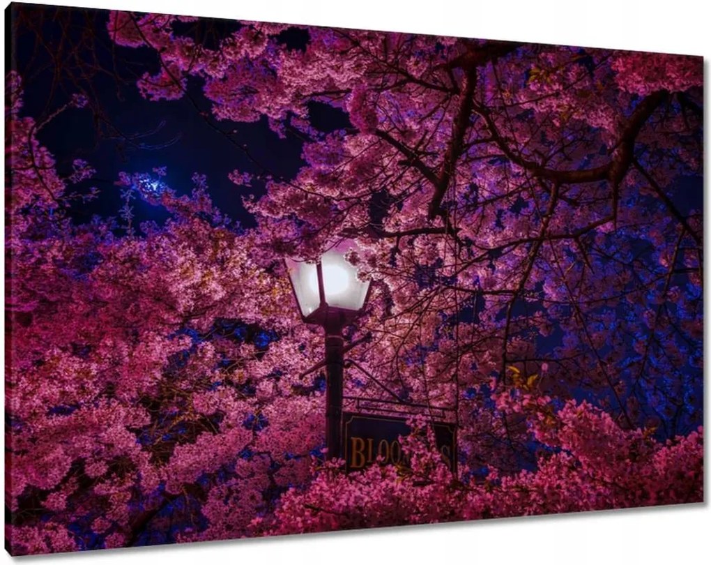 Vászonkép 100x70 Mély éjszaka Lámpa Virágok