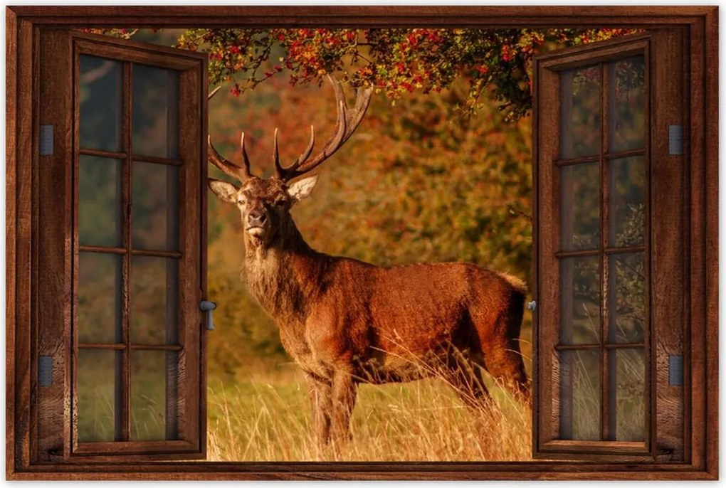 Poszter 60x40 Királyszarvas