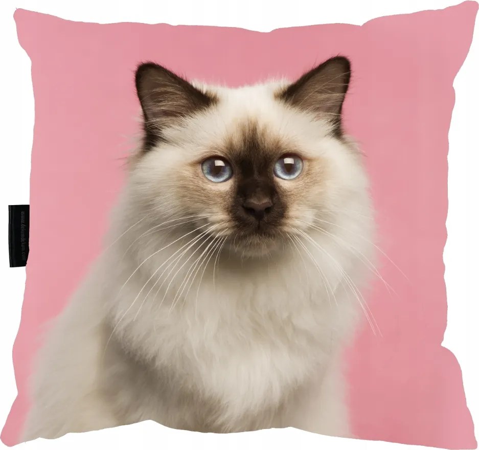 Pers Macska Párna alváshoz 40x40 ajándék