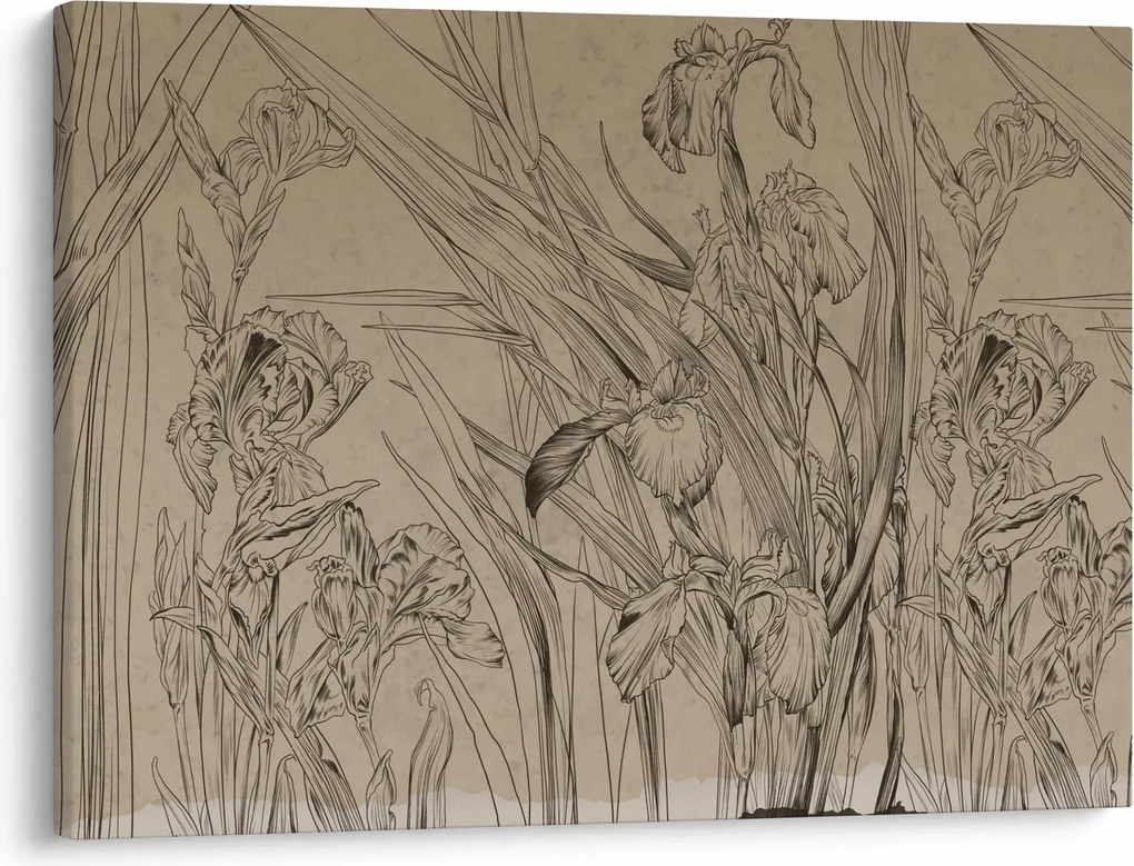 Kép - A növények körvonalai (70x50 cm)