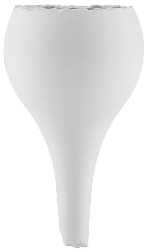 Miso