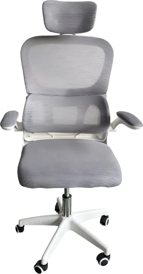 Irodai szék, szürke/fehér, FERIS