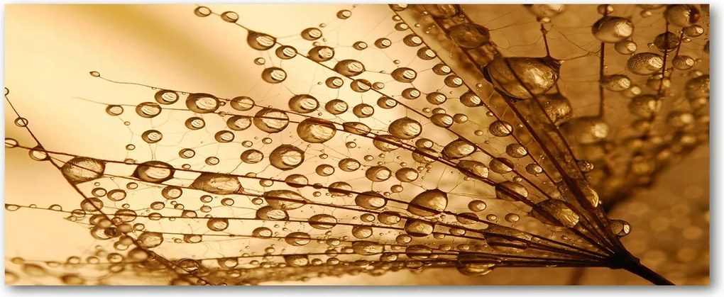 Lacobel a konyhaszekrény alá Pitypang mag XXL