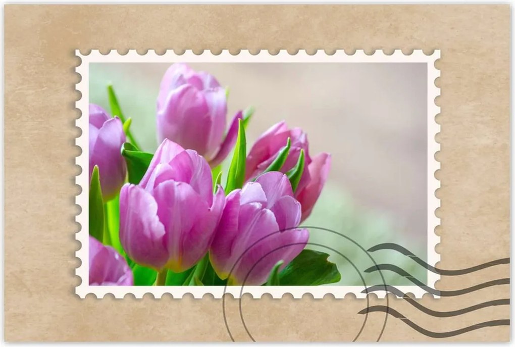 Poszterek 90x60 Tulipánok Virágok