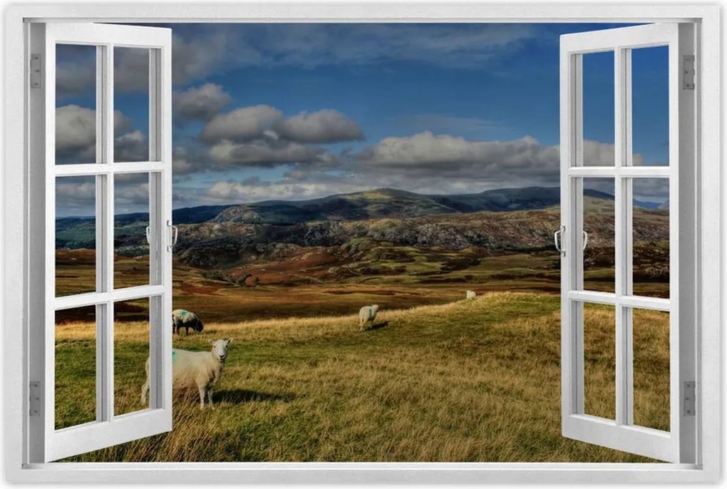 Poszterek 90x60 Bárányok a legelőn