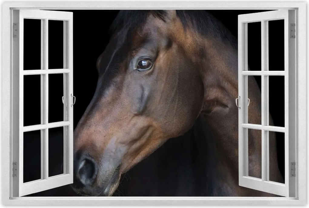 Poszterek 90x60 Lófej