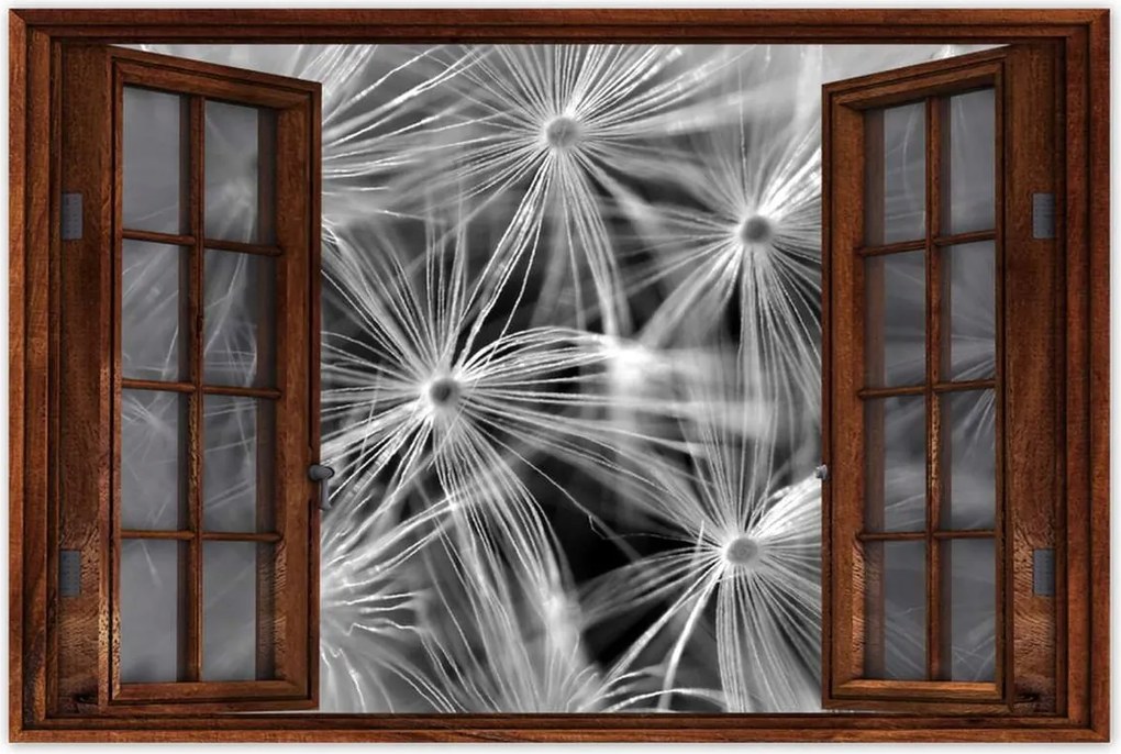 Poszterek 90x60 Pitypang Virág Virágok