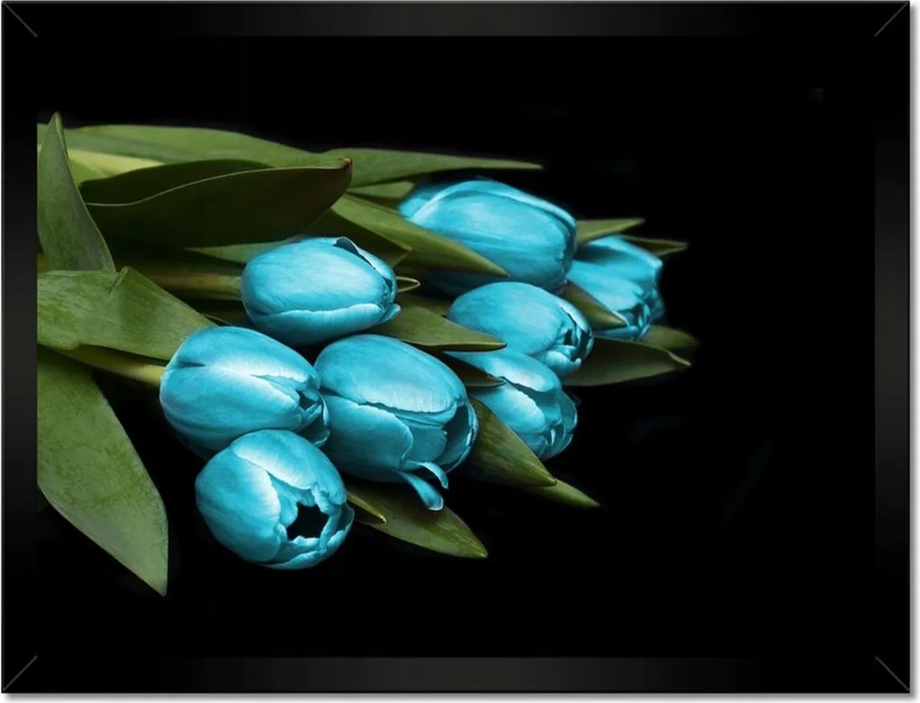 Poszter keretben 40x30 Türkiz tulipán virág