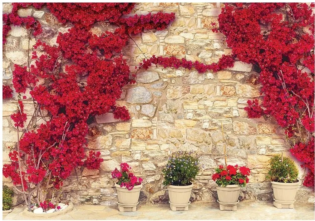 Fotótapéta virág fal fotótapéta 312 x 219