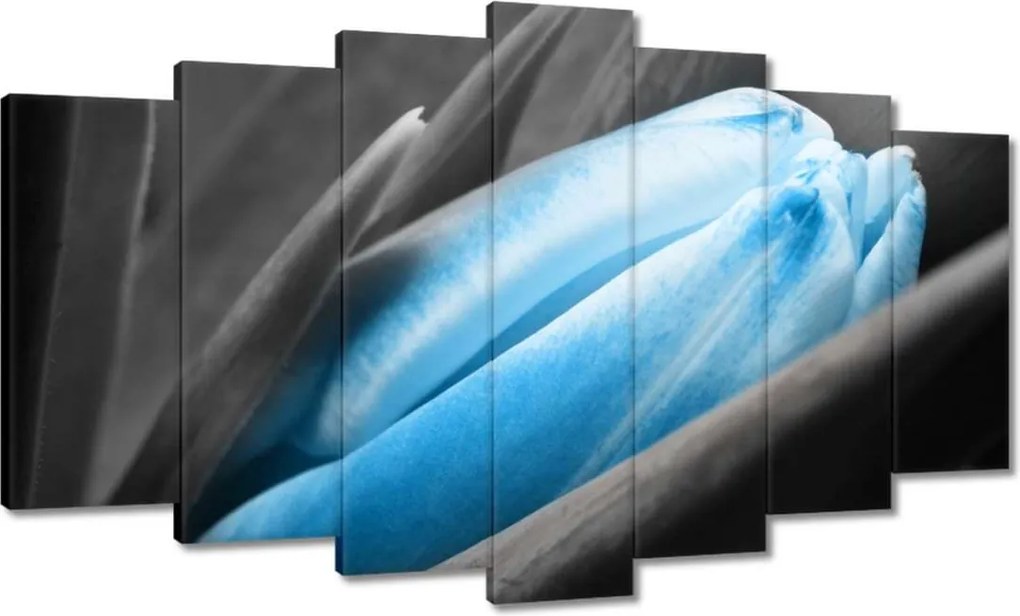 Vászonkép 140x80 Kék szirmok Tulipán