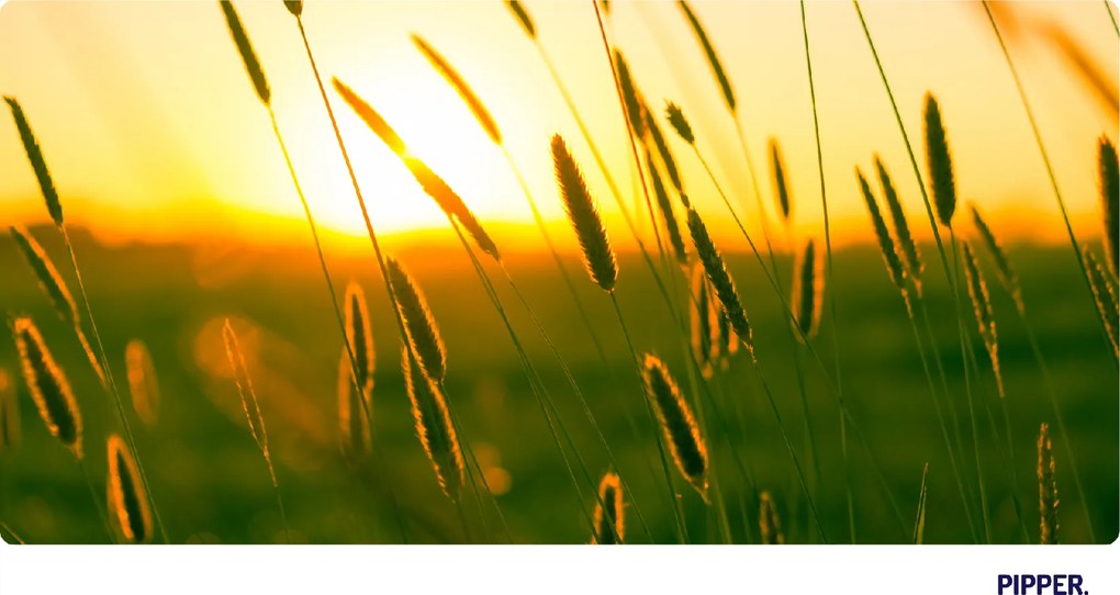 PIPPER. Öntapadós textiltapéta "Naplemente"