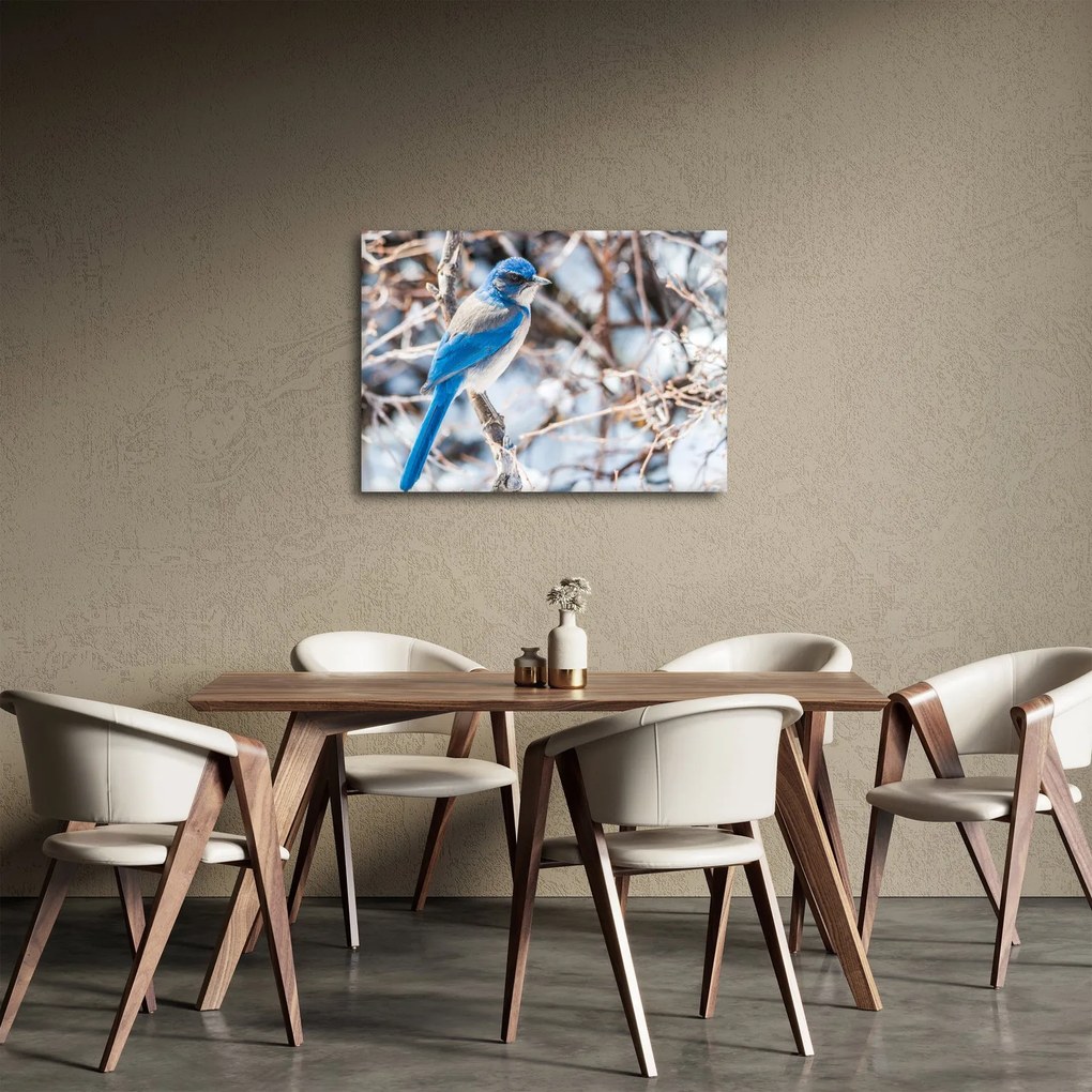 Kép - Téli madár (70x50 cm)
