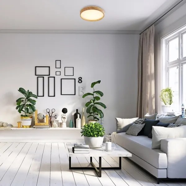 Rabalux 71143 - LED Mennyezeti lámpa LEANA LED/12W/230V 3000K átm. 26 cm