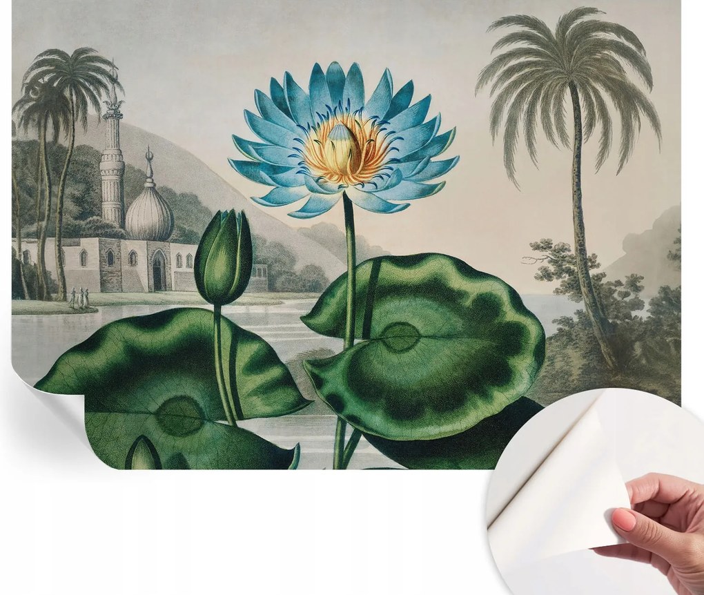 Dekoratív öntapadós tapéta Divatos minták Egzotikus táj 312x219