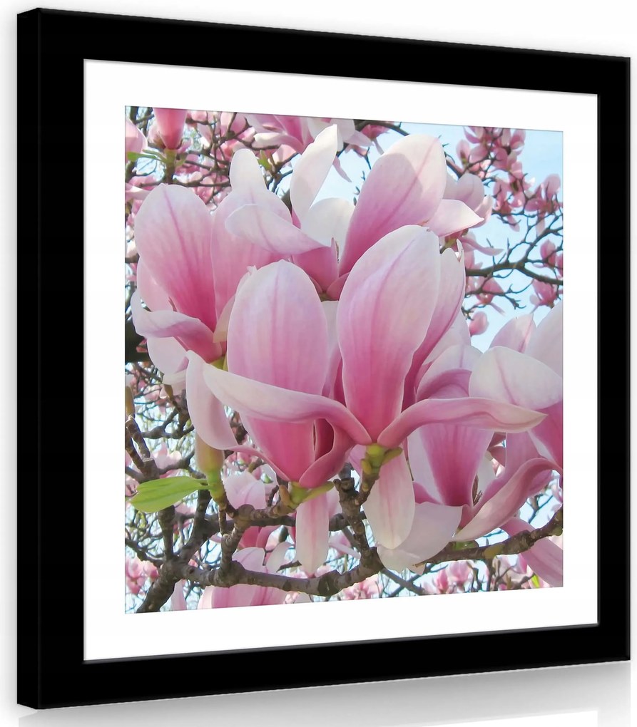 Vászonkép 80x80 Virágzó magnólia rózsaszín virágok tavasz természet nyugalom öröm