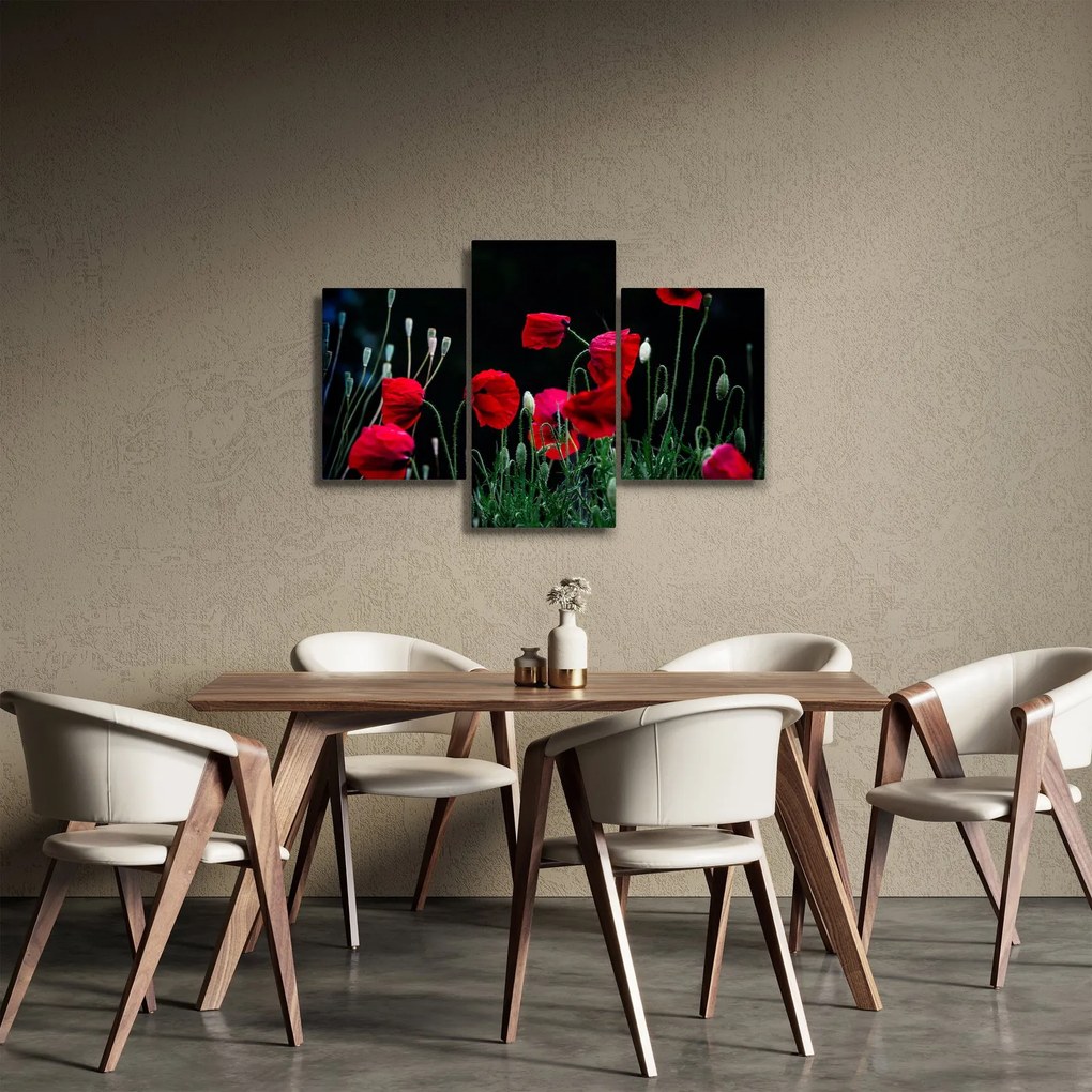Kép - Pipacsok tánca (90x60 cm)
