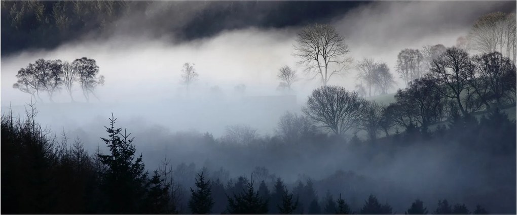 A köd képe az erdő felett (120x50 cm)