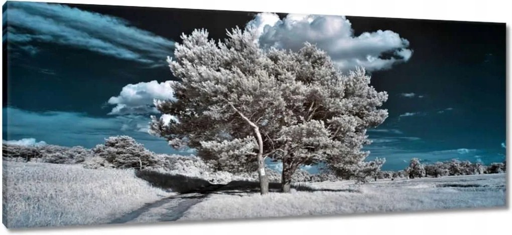 Festmények 100x40 Fenséges fa