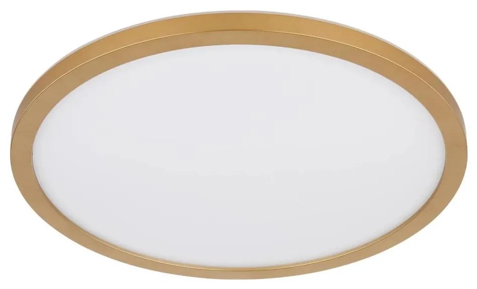 Globo 41562-24MM -LED dimmelhető fürdőszobai lámpa SAPANA LED/24W/230V IP44