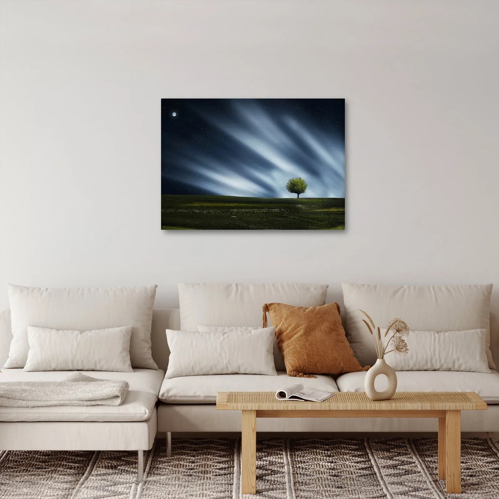 Az aurora borealis képe egy lápvidéken (70x50 cm)