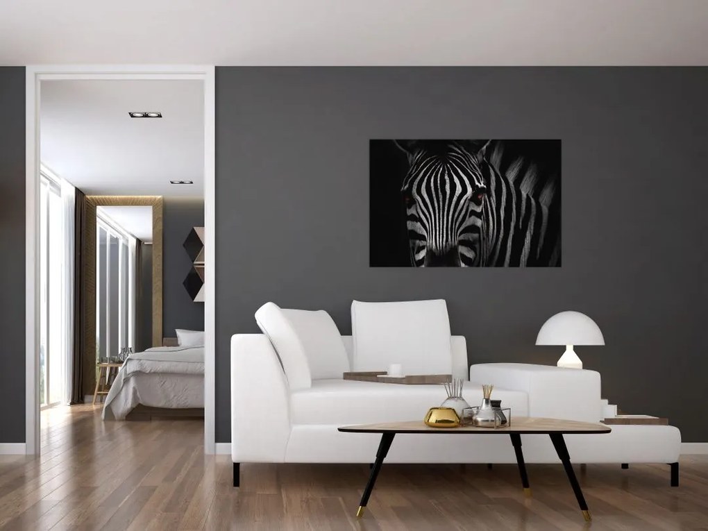 Zebra képe (90x60 cm)