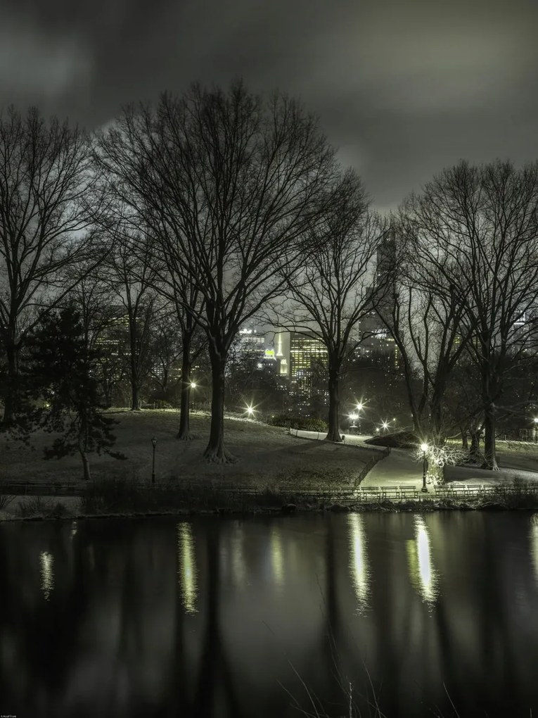 Poszter 60x80cm Central Park éjszaka 2, Assaf Frank